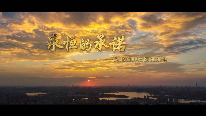湖北省腫瘤醫(yī)院院歌《永恒的承諾》