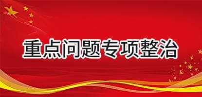 重點(diǎn)問題專項(xiàng)整治